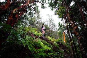 BIB: 
                            <button type="button" onclick="openModal(26205342)" class="btn btn-primary btn-sm float-right btn-popup" data-toggle="modal" data-target=".modal-high-quality">
                        <i class="fas fa-shopping-cart"></i> Add to Cart
                    </button>
                                            <button type="button" onclick="isThisMe(26205342, true)" class="btn btn-success btn-sm float-right btn-popup btn-isme hidden" data-toggle="tooltip" data-placement="bottom" title="นี่คือรูปของคุณใช่ไหม คลิกที่นี่เพื่อเอาเข้าอัลบั้ม">
                        <i class="fas fa-plus"></i> Add to album
                    </button>
                    <button type="button" onclick="isThisMe(26205342, false)" class="btn btn-warning btn-sm float-right btn-popup btn-isnotme hidden">
                        <i class="fas fa-ban"></i> Remove from album
                    </button>